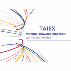 TAIEX & Twinning Logo