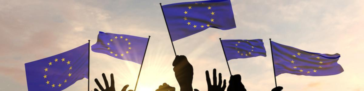 EU Flags with Hands