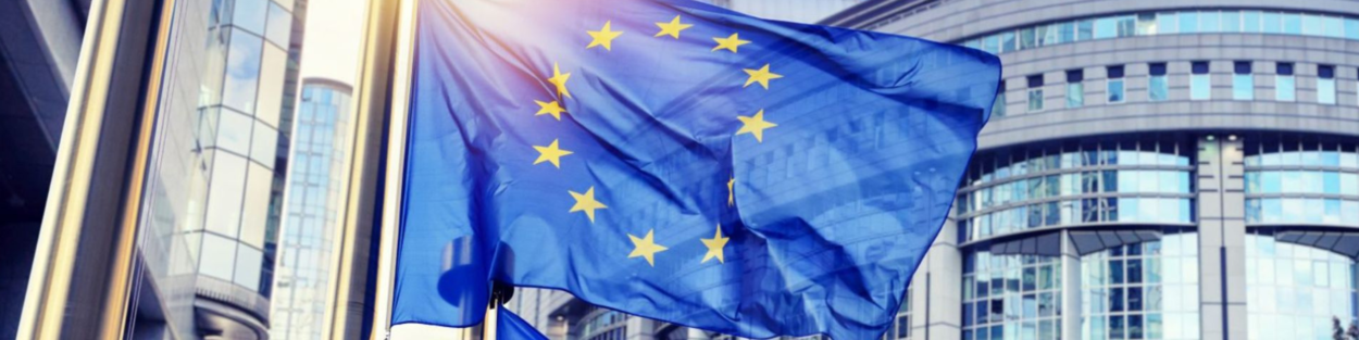 EU Flag