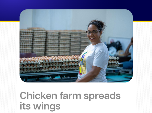Picture shows part of a newsletter published by the Cabinet Special Envoy, including the text: Chicken farm spreads its wings